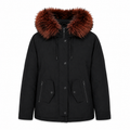 Moose knuckles Women Jacket Canvas Black