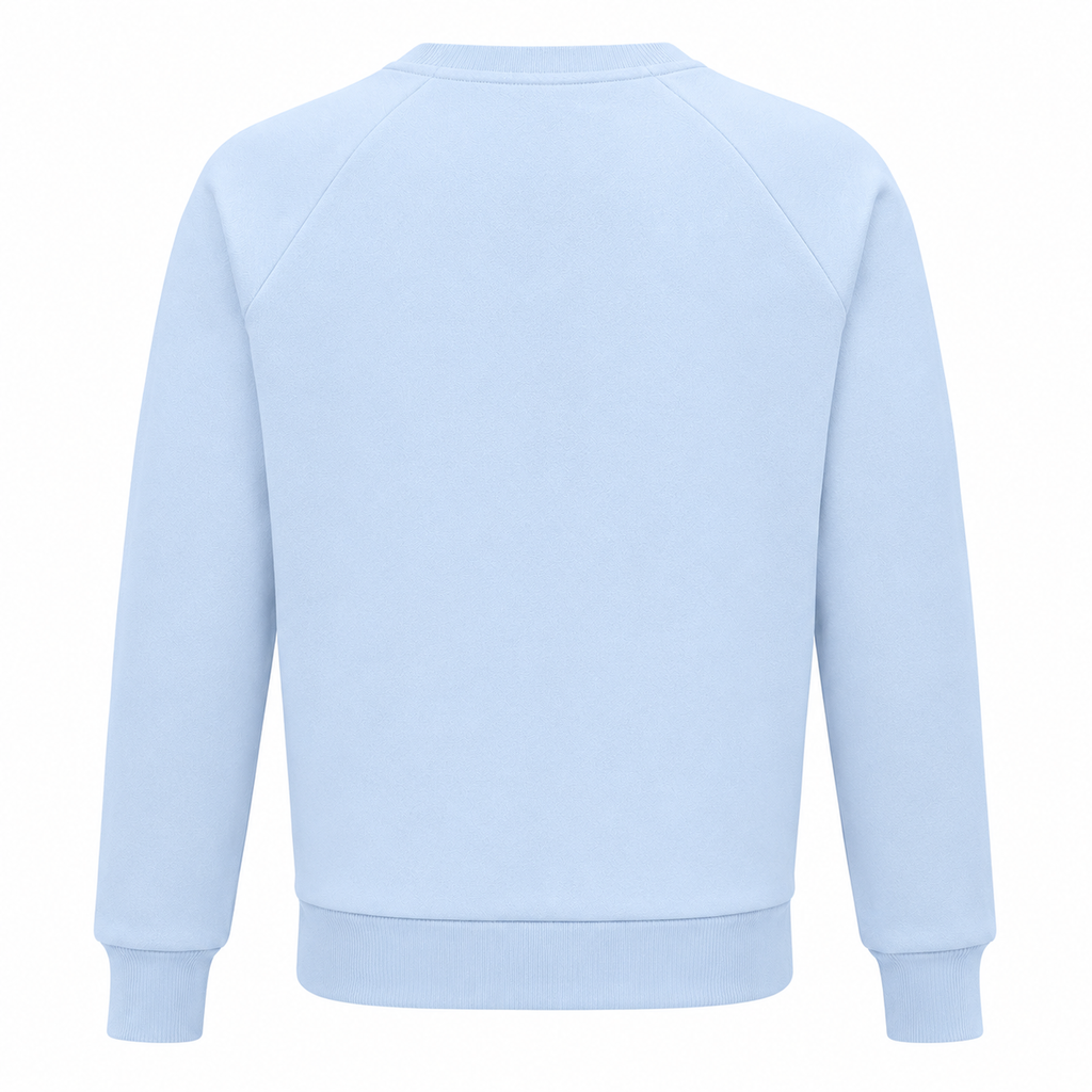 Balmain Men Sweatshirt Crew Neck Light Blue