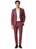 Ermenegildo Zegna Fabric Men Suit Wool Pinstripe Purple