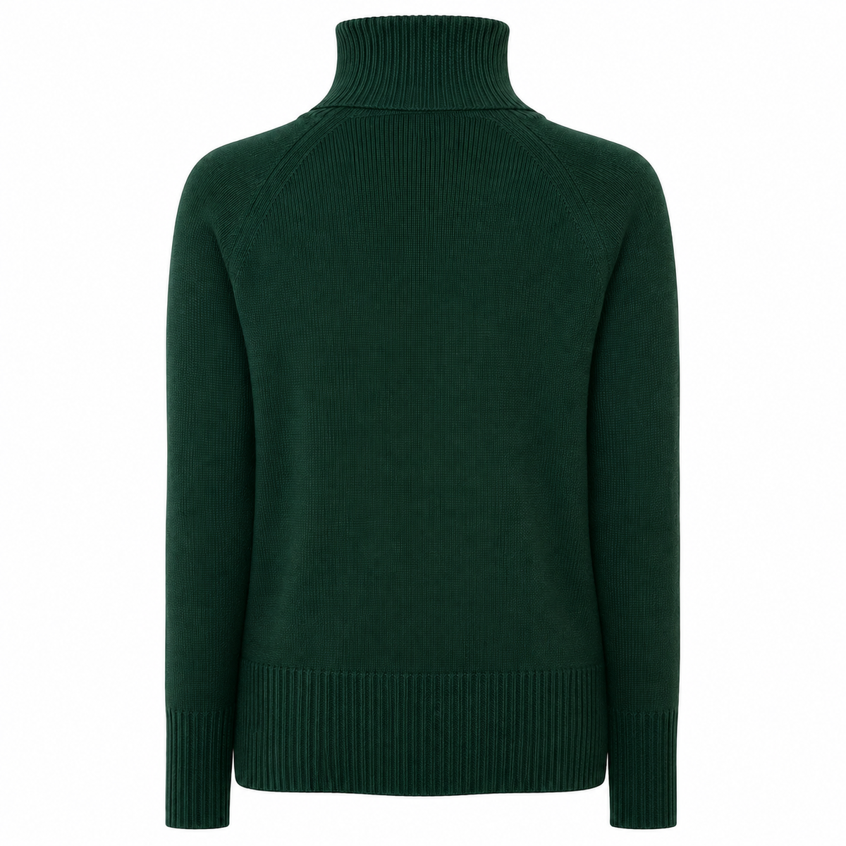 Emilio Romanelli Women Turtleneck Green Bottiglia Beige
