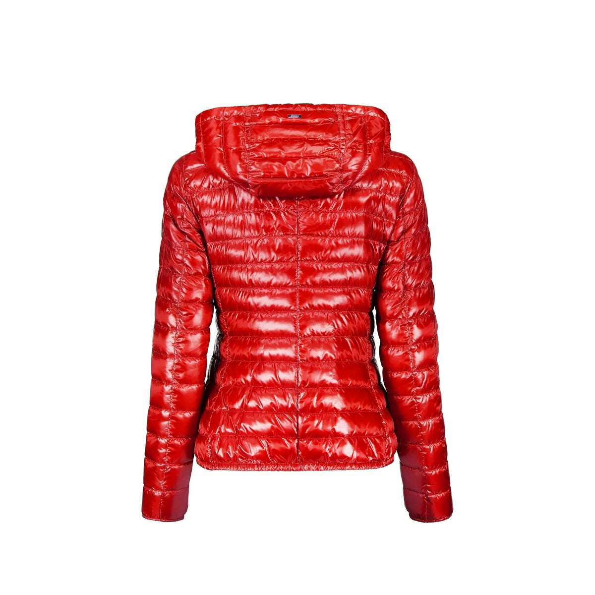 Herno Down Jacket